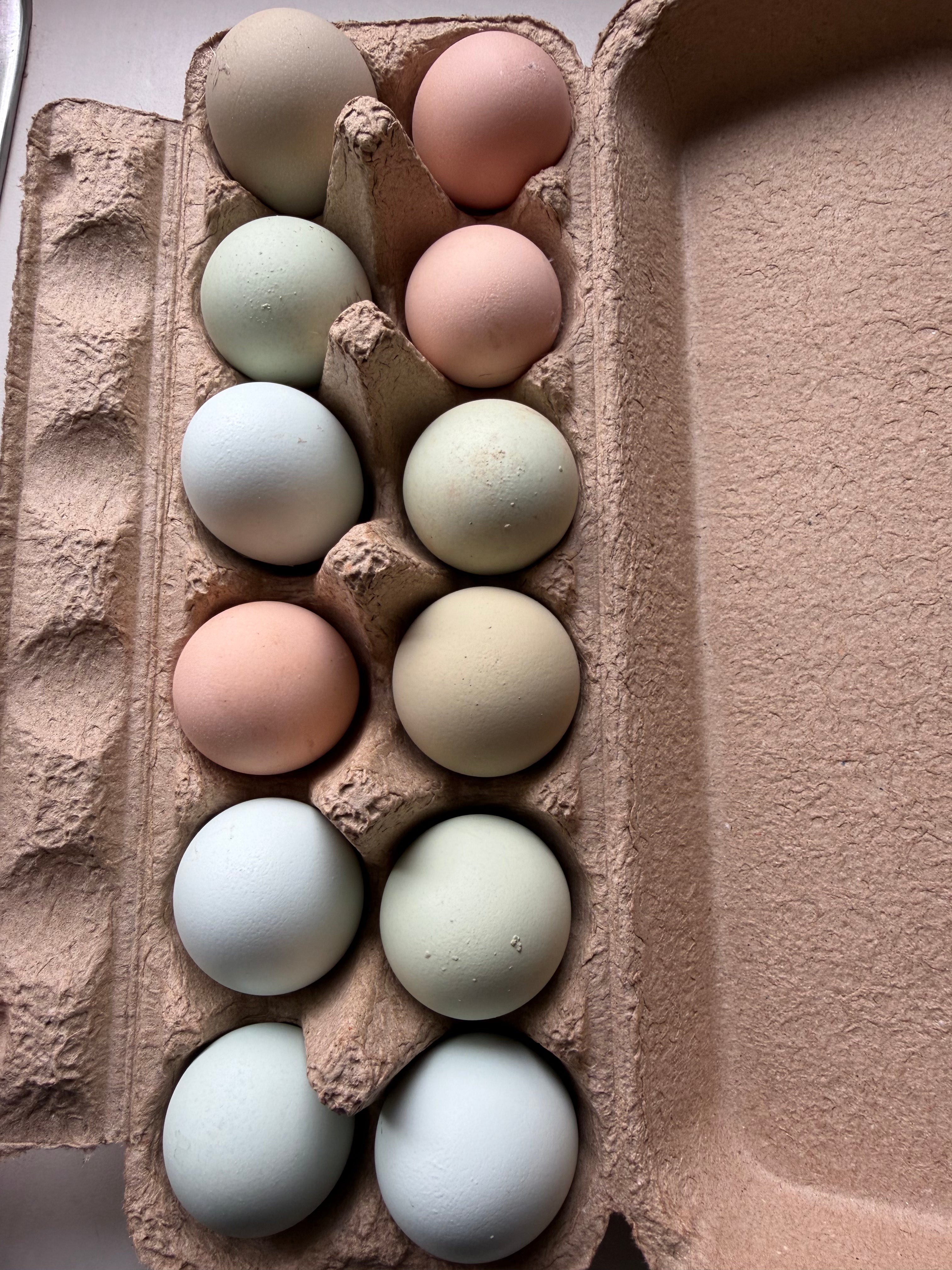 Eggs